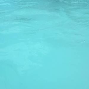 Meet your Posher, Janet